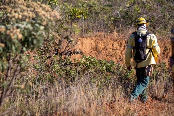 Guardiões da natureza, brigadistas atuam de forma fundamental no combate a incêndios florestais