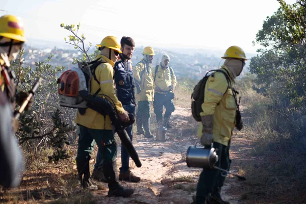 Guardiões da natureza, brigadistas atuam de forma fundamental no combate a incêndios florestais