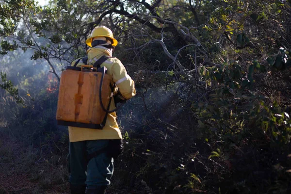 Guardiões da natureza, brigadistas atuam de forma fundamental no combate a incêndios florestais