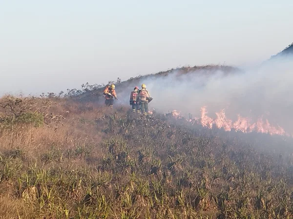Governo de Minas aposta em tecnologia e experiência do Corpo de Bombeiros no gerenciamento de desastres para enfrentar estiagem severa no estado
