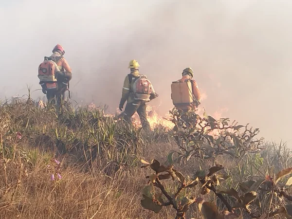 Governo de Minas aposta em tecnologia e experiência do Corpo de Bombeiros no gerenciamento de desastres para enfrentar estiagem severa no estado
