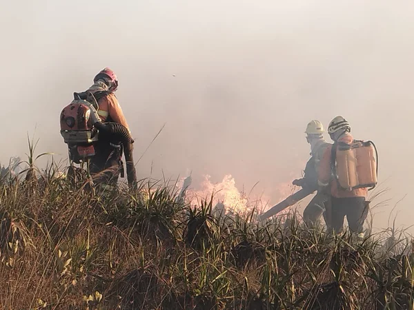 Governo de Minas aposta em tecnologia e experiência do Corpo de Bombeiros no gerenciamento de desastres para enfrentar estiagem severa no estado