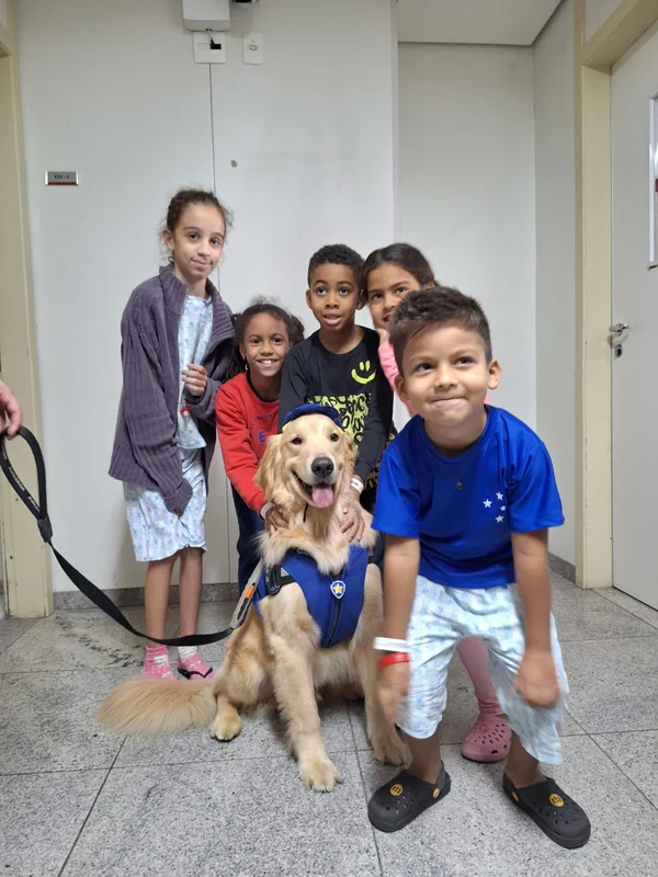 Cão coterapeuta visita ala de pediatria do Hospital do Ipsemg 