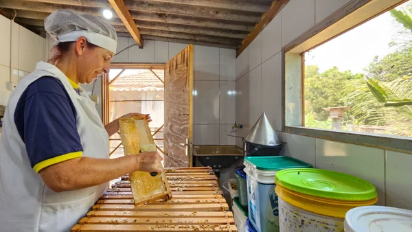 Entrega de kits de apicultura pelo Governo de Minas impulsiona a produção de mel no estado