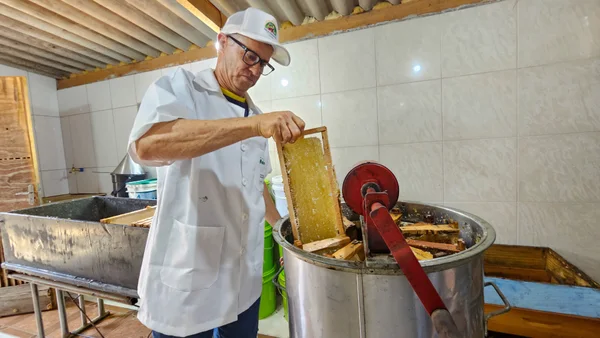 Entrega de kits de apicultura pelo Governo de Minas impulsiona a produção de mel no estado