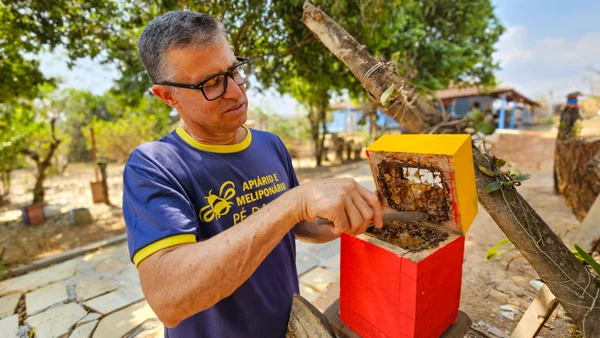 Entrega de kits de apicultura pelo Governo de Minas impulsiona a produção de mel no estado