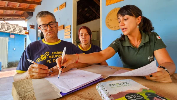 Entrega de kits de apicultura pelo Governo de Minas impulsiona a produção de mel no estado