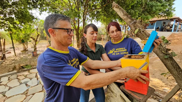 Entrega de kits de apicultura pelo Governo de Minas impulsiona a produção de mel no estado