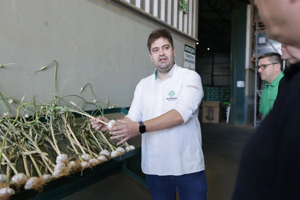 Parceria entre BDMG e CAF garante R$ 1,3 bilhão para impulsionar eficiência energética e financiamento verde