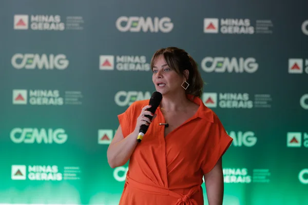 Governo de Minas e Cemig realizam chamamento público para seleção de atrações culturais durante o Carnaval
