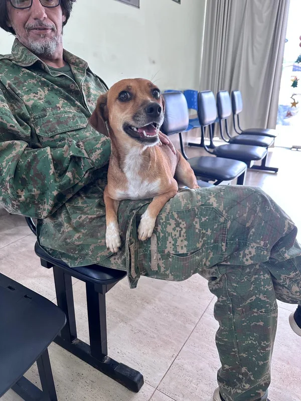 Governo de Minas promove políticas públicas que reforçam combate ao abandono de animais domésticos 