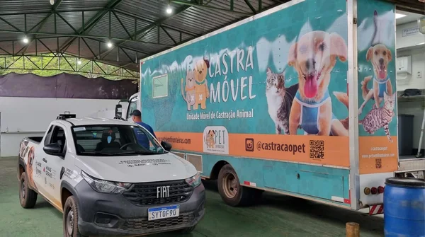 Governo de Minas promove políticas públicas que reforçam combate ao abandono de animais domésticos 