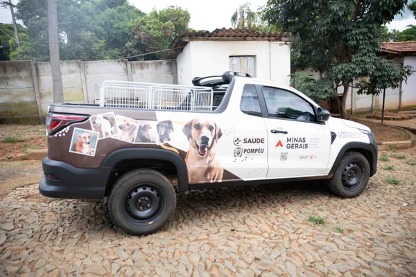 Governo de Minas promove políticas públicas que reforçam combate ao abandono de animais domésticos 