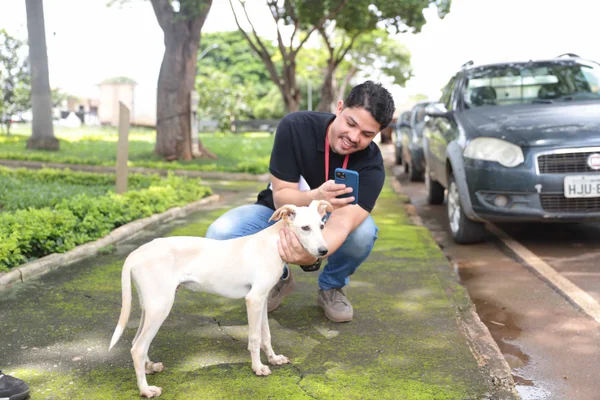 Governo de Minas promove políticas públicas que reforçam combate ao abandono de animais domésticos 