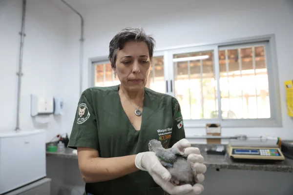 Os Cetras são estruturas que recuperam animais resgatados em apreensões, entregas voluntárias e salvamentos, em áreas urbanas e rurais