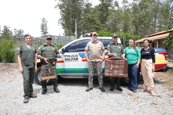 Os Cetras são estruturas que recuperam animais resgatados em apreensões, entregas voluntárias e salvamentos, em áreas urbanas e rurais