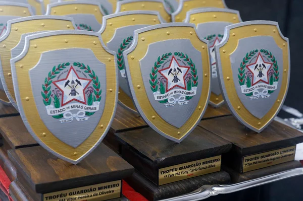 Governo de Minas reconhece ações de destaque das Forças de Segurança com o Troféu Guardião Mineiro