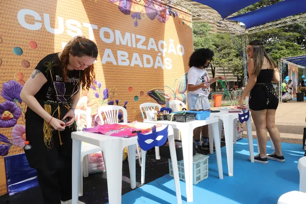Foliões aprovam estrutura montada pelo Governo de Minas para o Carnaval de BH