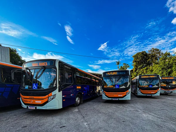 Em menos de quatro meses, Governo de Minas supera a marca de 500 novos ônibus entregues à Região Metropolitana de Belo Horizonte