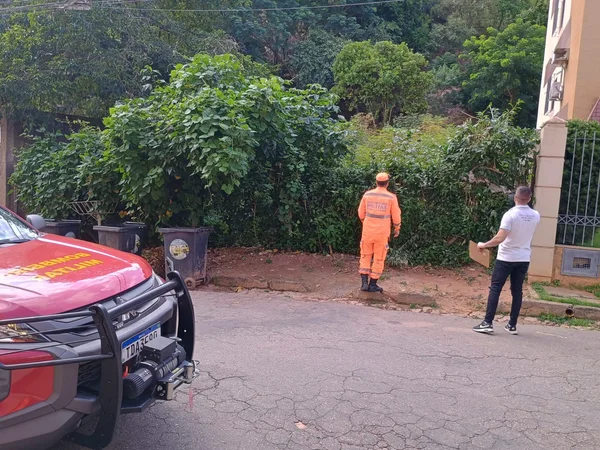 Em ano de agendas climáticas no Brasil, Corpo de Bombeiros Militar se antecipa na prevenção de grandes incêndios