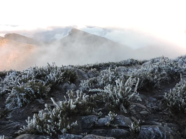 Parque Nacional do Caparaó, na divisa entre Minas Gerais e Espírito Santo