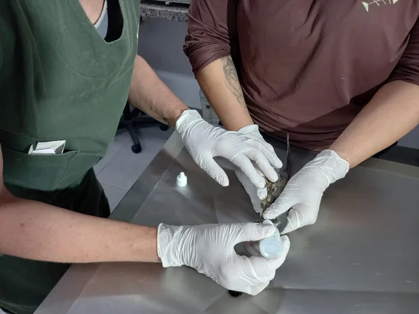 Aves vítimas do tráfico são reabilitadas no Cetras de Divinópolis e se preparam para retorno à natureza