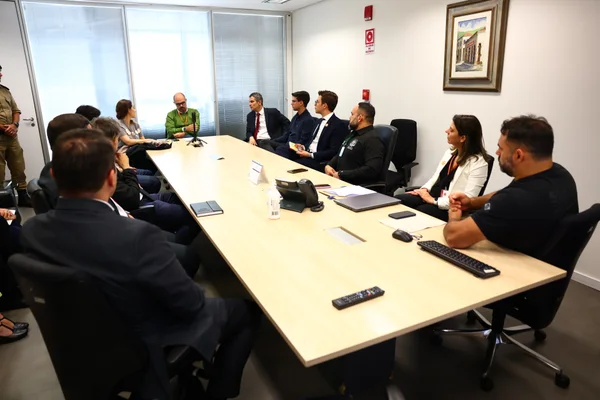 Conselho de Defesa Social do Governo de Minas discute combate ao crime organizado