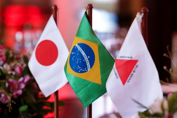 Parceria histórica entre Governo de Minas e província japonesa de Yamanashi ganha nova fase com a Defesa Civil para prevenção de riscos