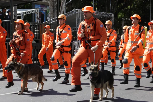 Governador acompanha desfile cívico-militar de 7 de setembro