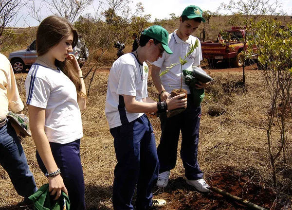 Estudantes ajudam a plantar as mudas de árvores