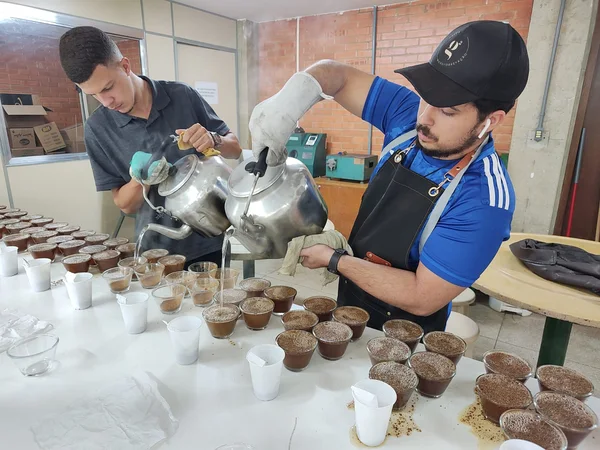 Uma das etapas regionais do Concurso de Qualidade dos Cafés de Minas Gerais, em 2024
