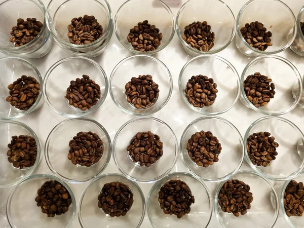 Uma das etapas regionais do Concurso de Qualidade dos Cafés de Minas Gerais, em 2024
