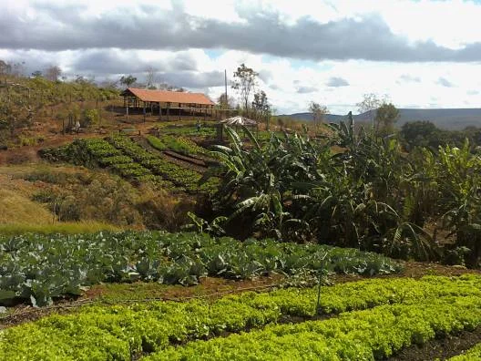Propriedade onde é desenvolvido programa de produção agroecológica