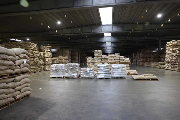Minas Gerais estreita parcerias logísticas e comerciais durante vistoria ao Porto de Antuérpia-Bruges, na Bélgica