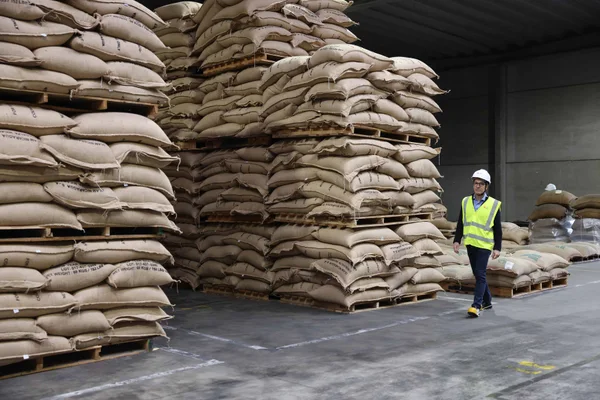 Minas Gerais estreita parcerias logísticas e comerciais durante vistoria ao Porto de Antuérpia-Bruges, na Bélgica
