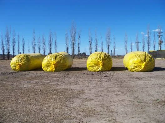 Lixo é colocado em bolsas e aterrado