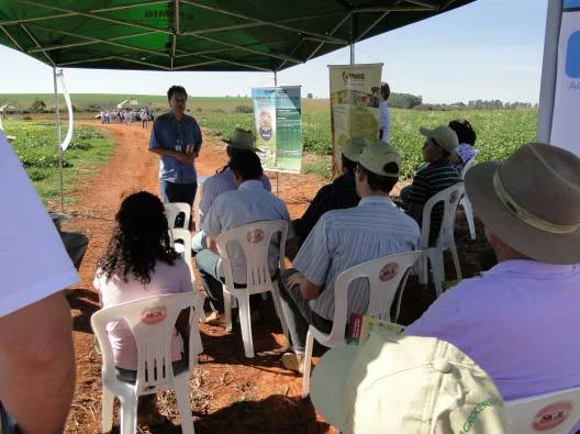 Pesquisadores apresentaram as novas cultivares desenvolvidas pelo programa