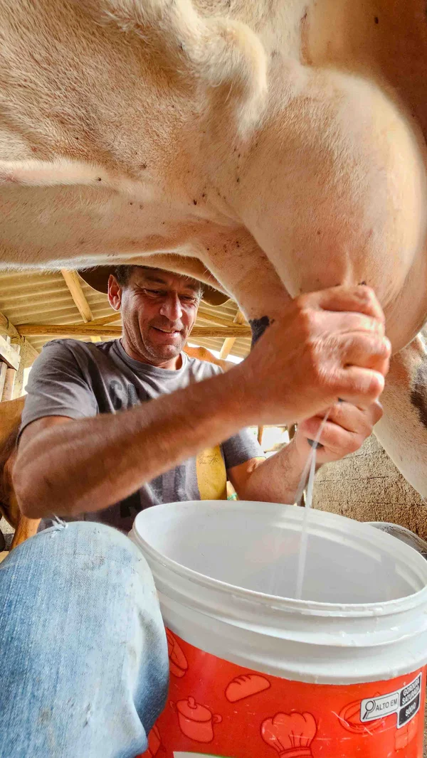 Governo de Minas amplia região do Queijo Minas Artesanal do Serro com inclusão de Congonhas do Norte