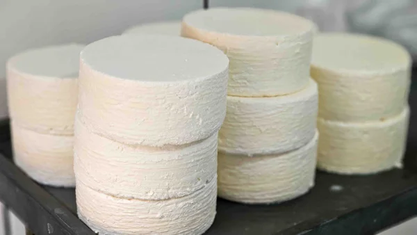 Governo de Minas amplia região do Queijo Minas Artesanal do Serro com inclusão de Congonhas do Norte