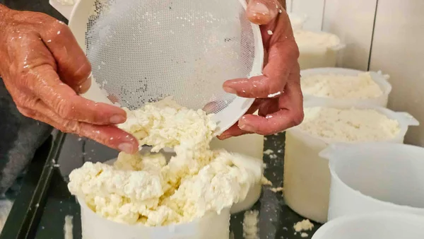 Governo de Minas amplia região do Queijo Minas Artesanal do Serro com inclusão de Congonhas do Norte