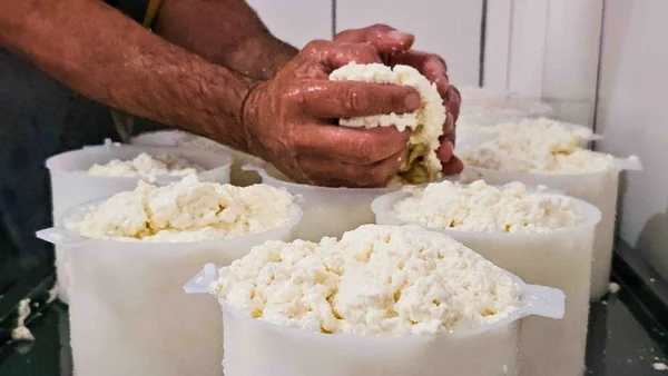 Governo de Minas amplia região do Queijo Minas Artesanal do Serro com inclusão de Congonhas do Norte