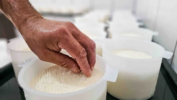 Governo de Minas amplia região do Queijo Minas Artesanal do Serro com inclusão de Congonhas do Norte