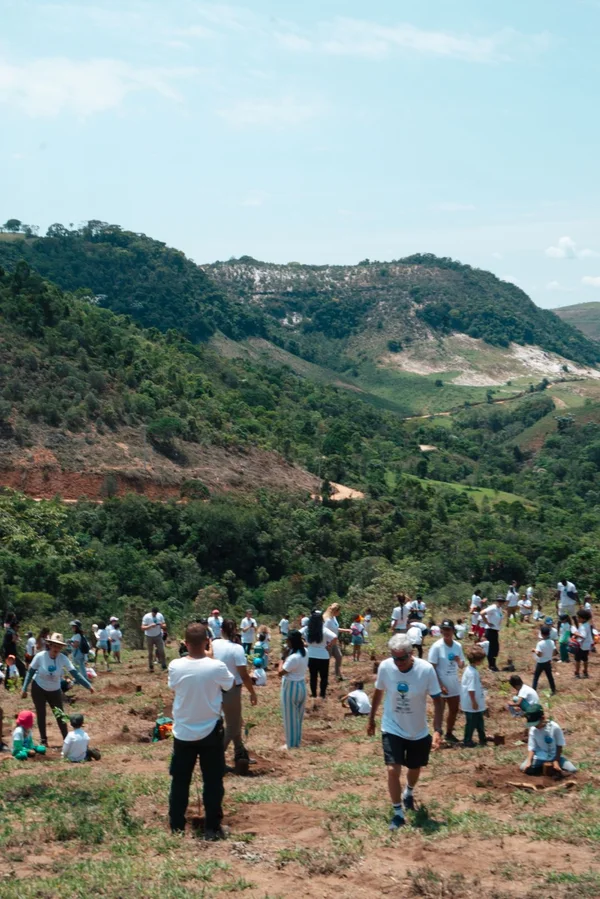 Plantio de 2 mil mudas mobiliza estudantes e fortalece educação ambiental em Lima Duarte