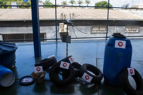 Minas Gerais realiza Dia D com 748 municípios para intensificar prevenção contra o Aedes aegypti