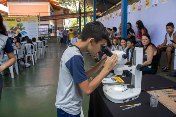 Minas Gerais realiza Dia D com 748 municípios para intensificar prevenção contra o Aedes aegypti