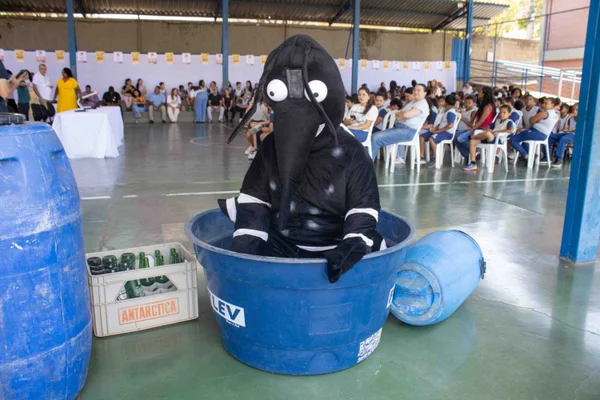 Minas Gerais realiza Dia D com 748 municípios para intensificar prevenção contra o Aedes aegypti