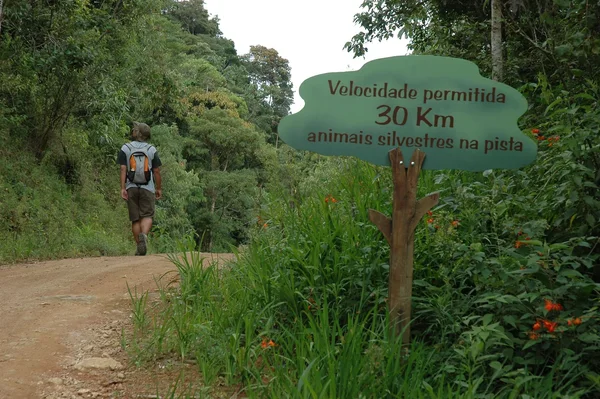 Instituto Estadual de Florestas divulga vencedores de credenciamento para comercialização de alimentos no Parque Estadual da Serra do Brigadeiro