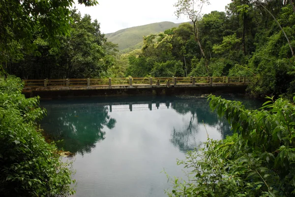 Parque Estadual da Serra do Rola-Moça se consolida como destino de férias de verão na Grande BH