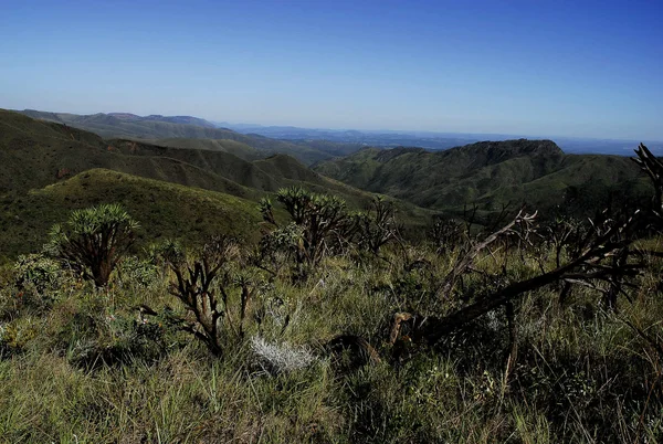 Parque Estadual da Serra do Rola-Moça se consolida como destino de férias de verão na Grande BH