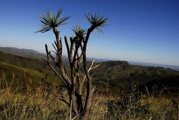 Parque Estadual da Serra do Rola-Moça se consolida como destino de férias de verão na Grande BH
